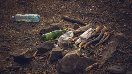 How Can I Minimize My Impact On The Environment While Hiking And Camping (Leave No Trace Principles)?